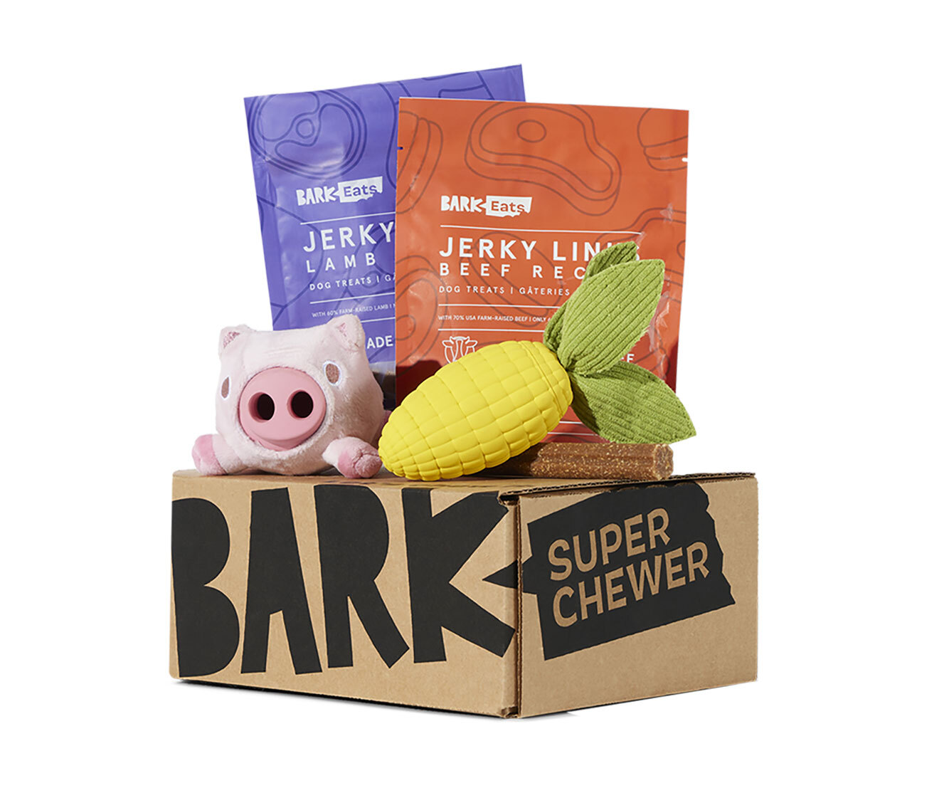 Super Chewer box full of tough toys and meaty treats