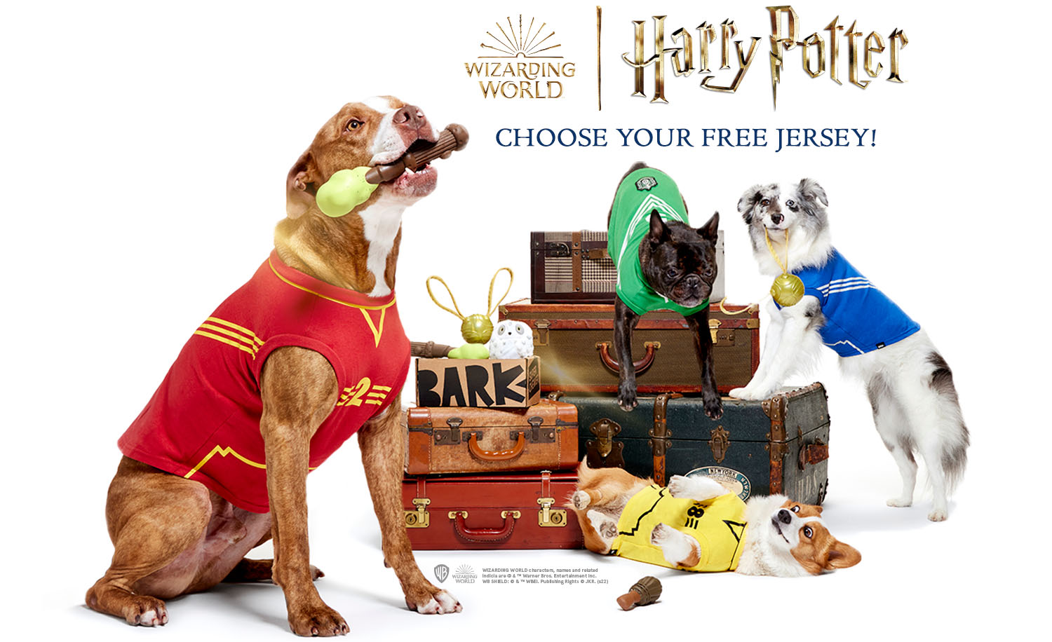 WIZARDING WORLD | Harry Potter - CHOOSE YOUR FREE JERSEY!