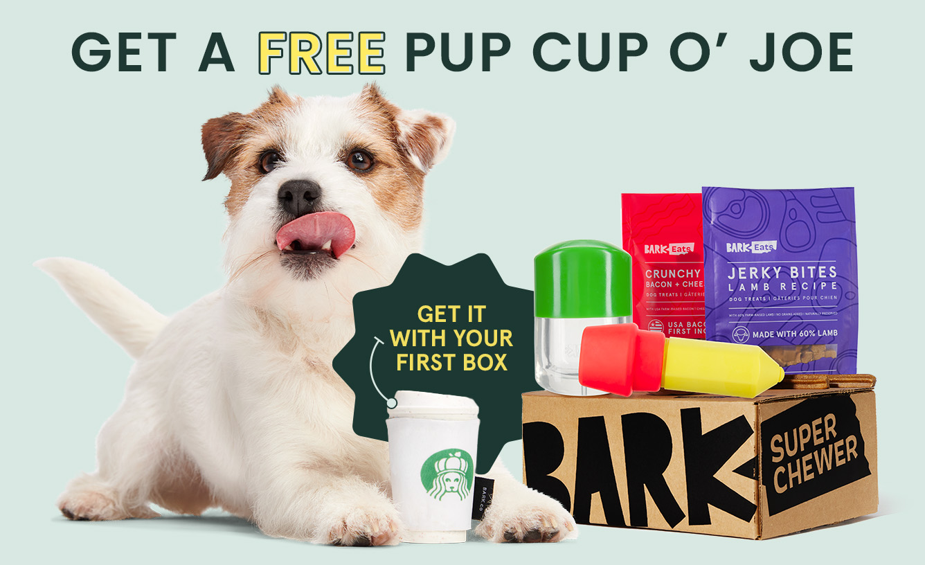 GET A FREE PUP CUP O' JOE - GET IT WITH YOUR FIRST BOX