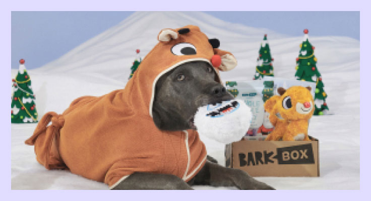 Dog wearing Rudolph® robe and holding a Yukon toy in its mouth