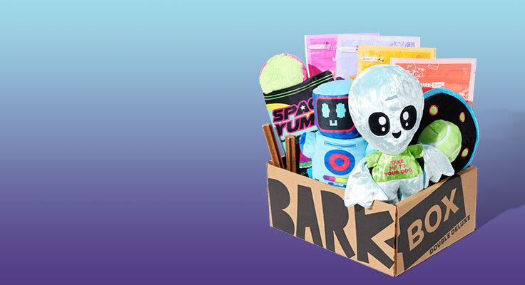 BarkBox full of plush dog toys