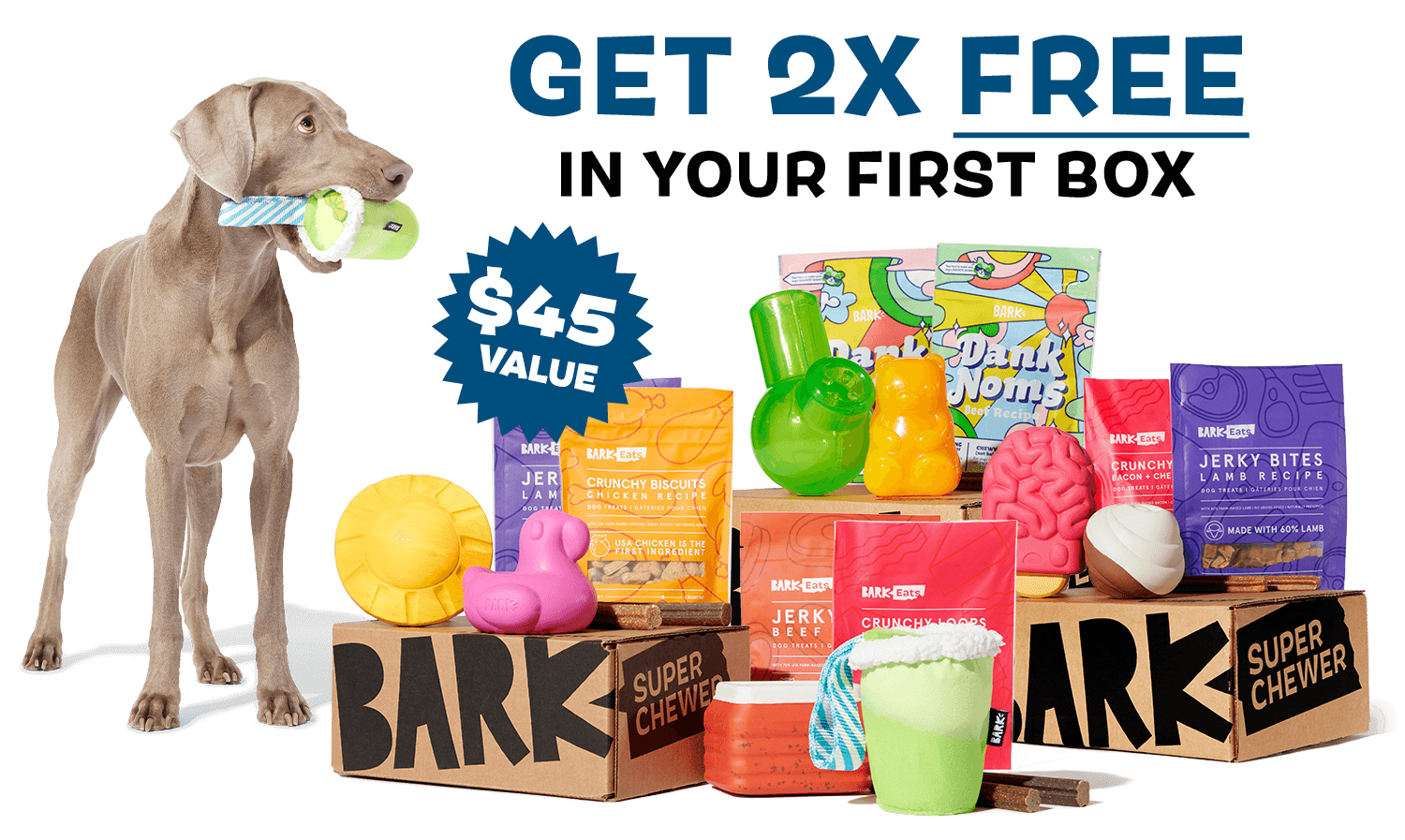 GET 2X FREE IN YOUR FIRST BOX - $45 VALUE