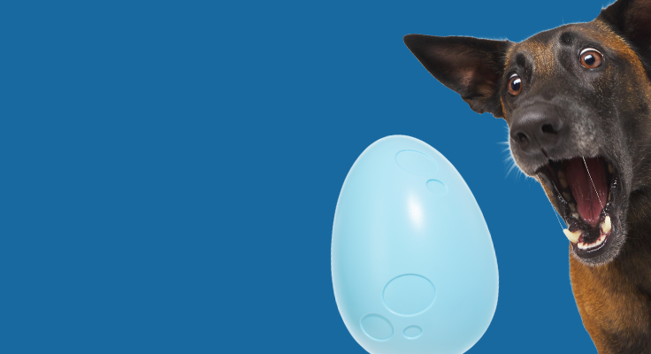 Join Today and Score Your Free XL Egg Toy