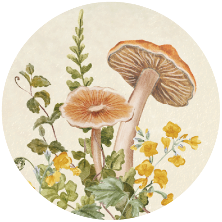 Bohemian styles thumbnail