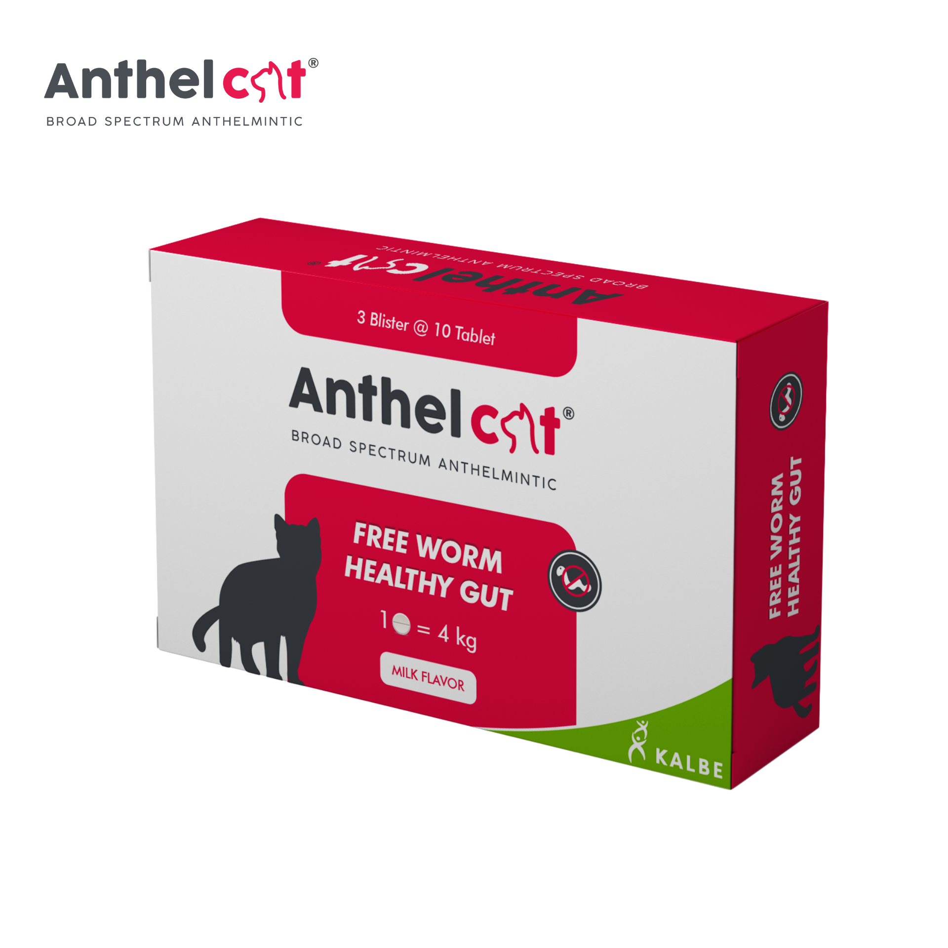Anthel Cat