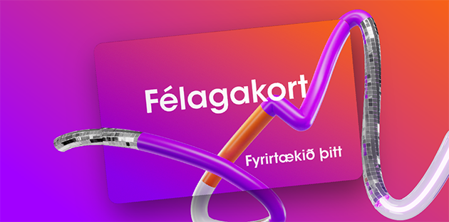 Fjárfestavefurinn 410x238 Hluthafar