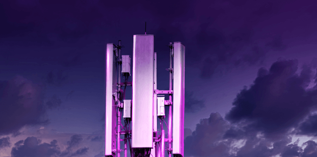 630x312 copy