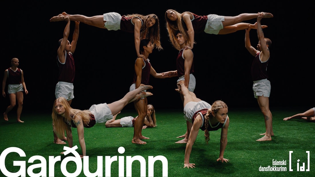 Sýning: Garðurinn / Paradísarfuglar