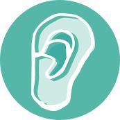 Ear