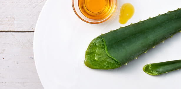 Johnson's Baby aloe vera plant image