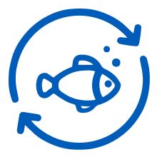 Blue icon of a fish encircled by two arrows, representing eco-friendly and gentle formulation on aquatic ecosystems.