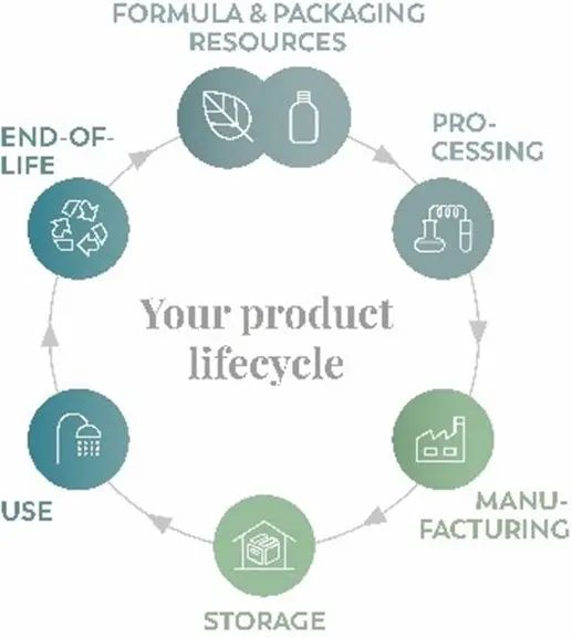 LIFECYCLE WHEEL