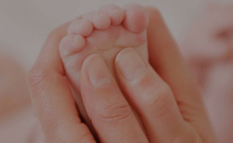 six-weeks-plus-en-au