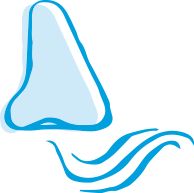 fragrance-icon-1.png