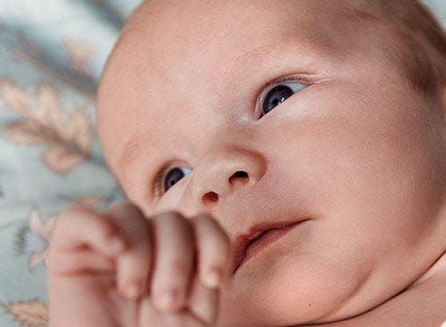 Umbilical Cord