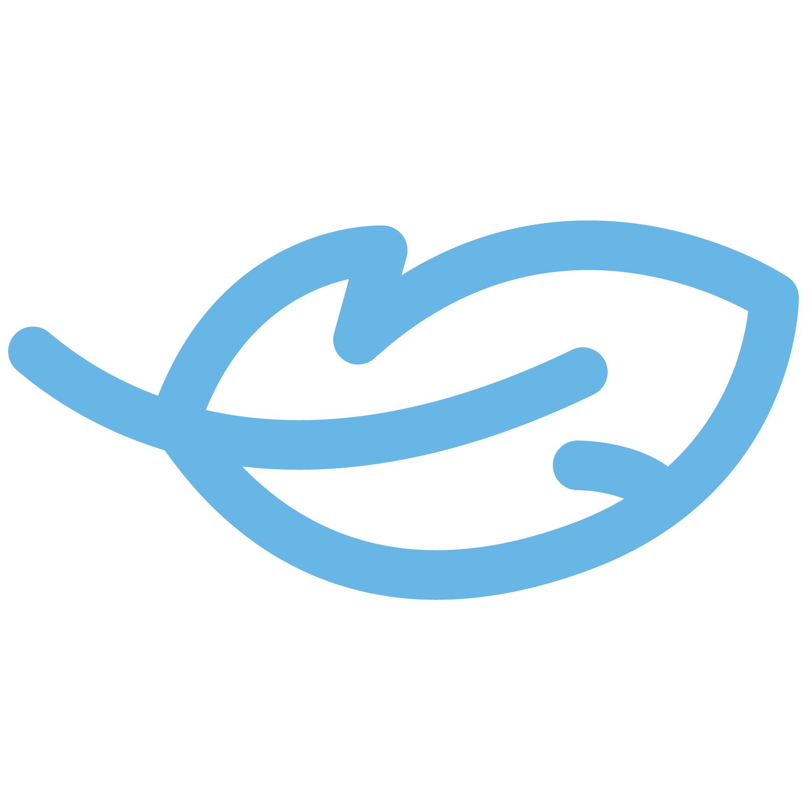 feather icon