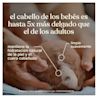 LATAM JBaby Vision MX DigitalBanners Gold Shampoo Science ATF6 2000x2000 JPG