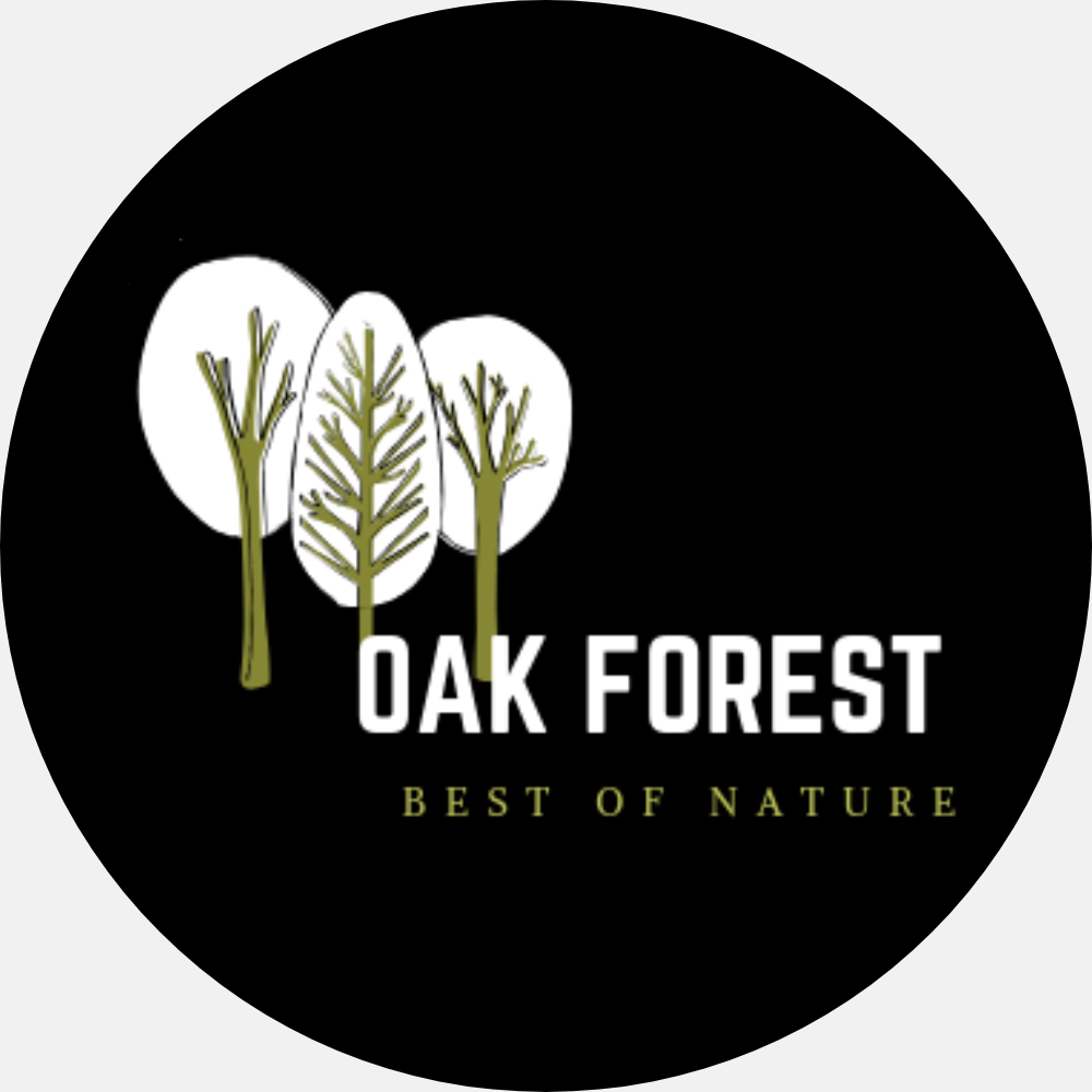 Noeud Papillon enfant en liège naturel -Noeud papillon enfant vegan – Oak  Forest