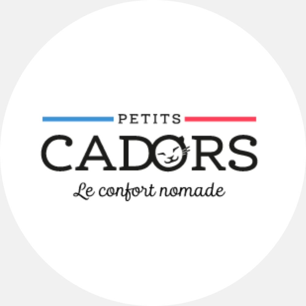 ISIDOR Delft - Oreiller de voiture BIO made in France - Petits Cadors –  PETITS CADORS