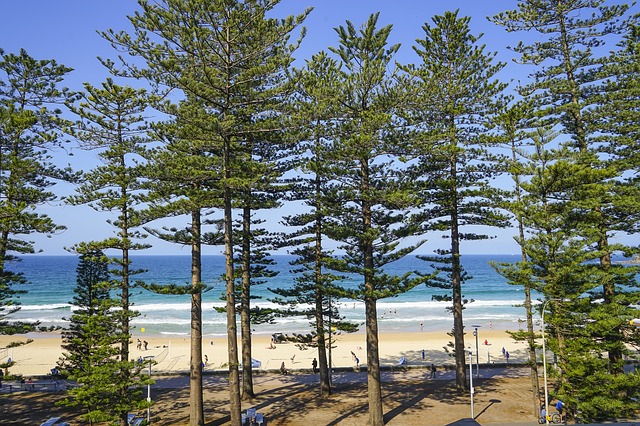 Manly beach Airbnb