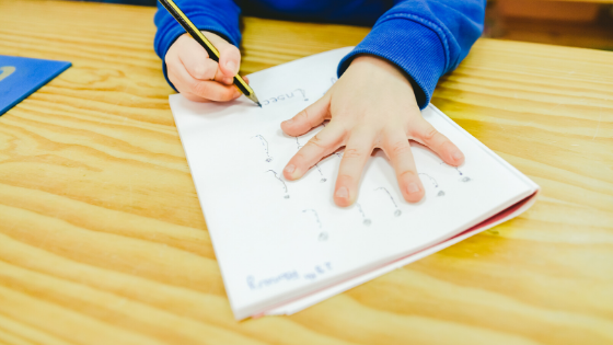 La lectoescritura como herramienta de aprendizaje en niños con TEA - Embedded Image 1
