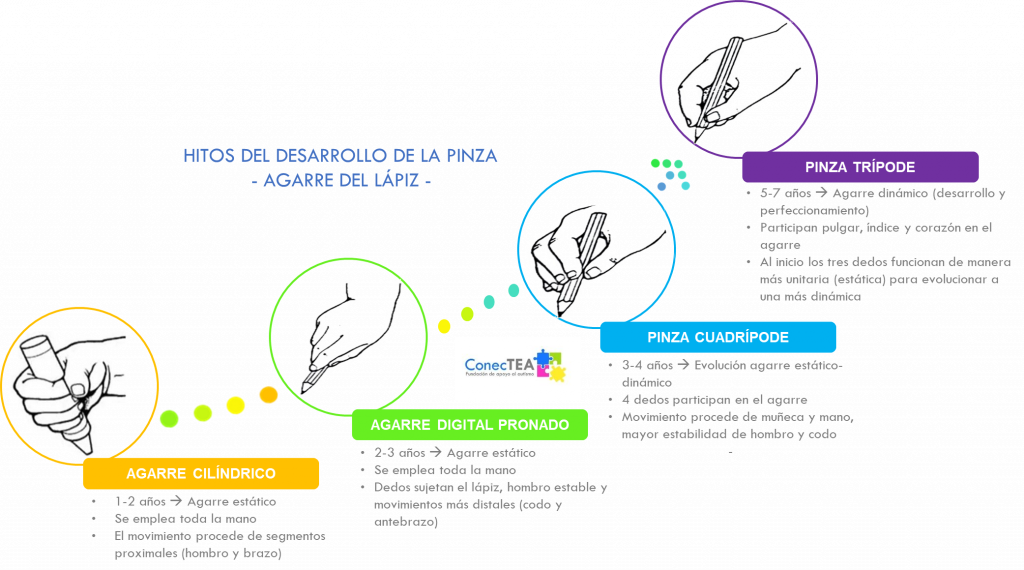 Escribir cuando tienes autismo - Embedded Image 1