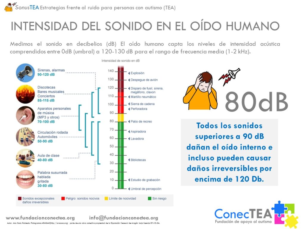 Hipersensibilidad auditiva en el autismo - Embedded Image 2