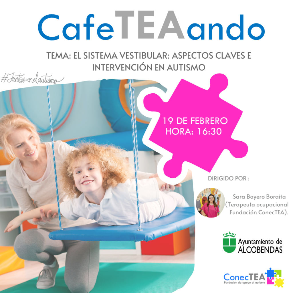 Cómo influye el sistema vestibular en las personas con autismo - Embedded Image 4