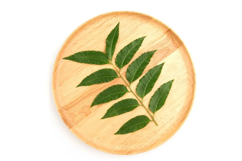 Why To Include Neem In Your Hair Care Routine?