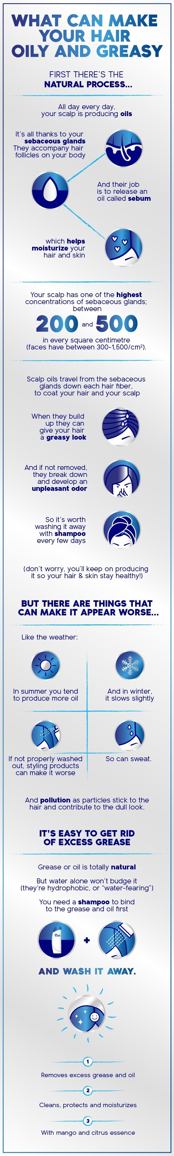 Oily and Greasy Hair Infographic