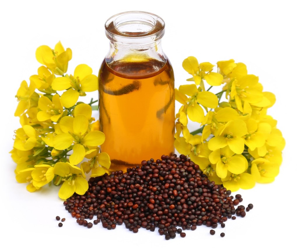 Mustard oil for dandruff