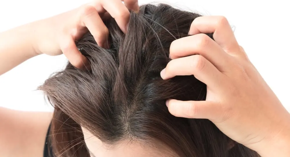 HOW TO STOP AN ITCHY SCALP AT NIGHT