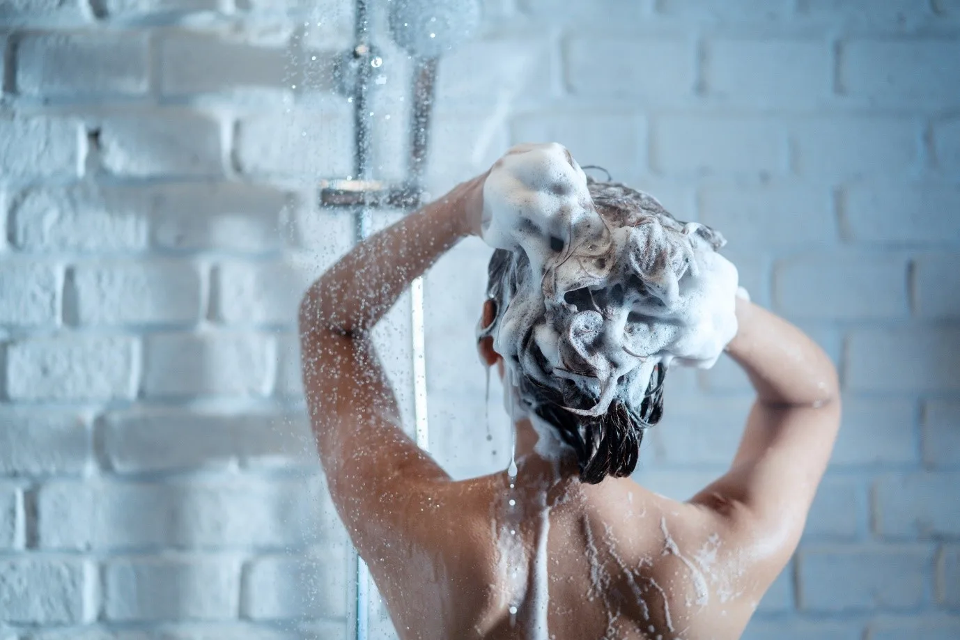 Can Regular Shampoo Cause Shampoo 