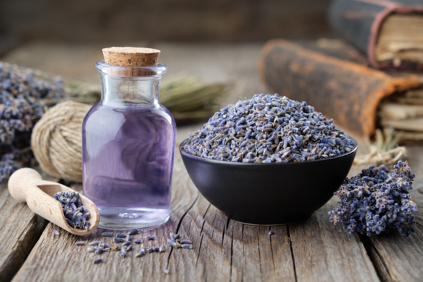 lavender oil for dandruff