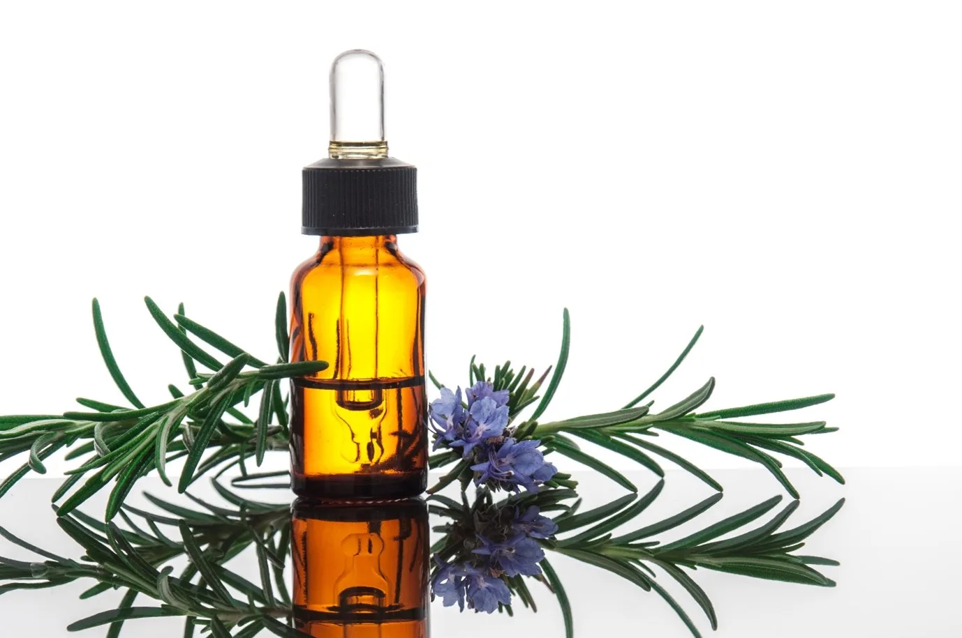 Rosemary oil might be effective for dandruff