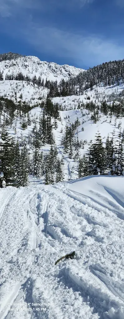 The last resort - image 3