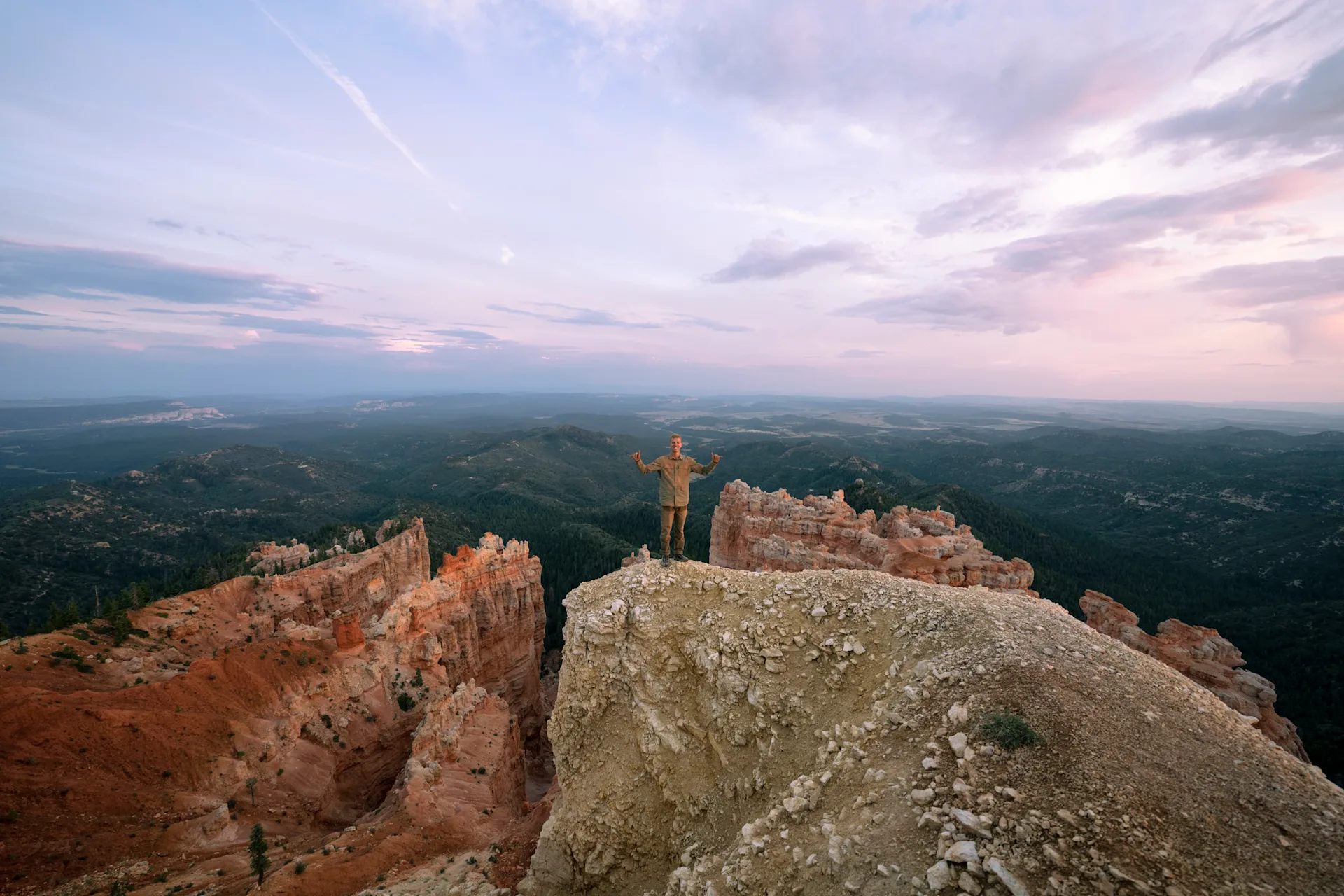 wilderness collective