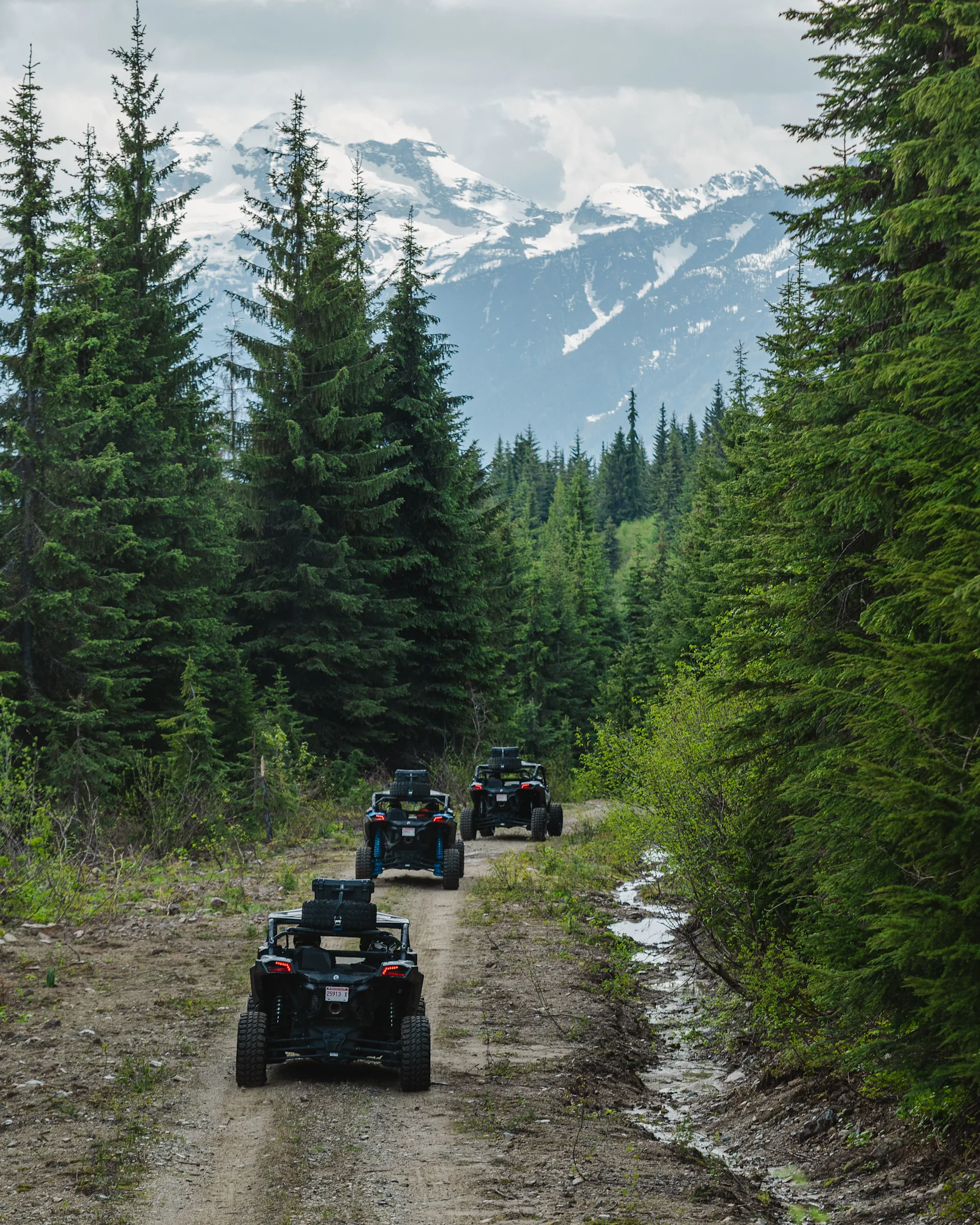 great canadian tours 