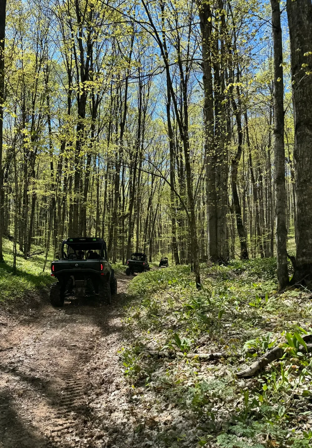 Big Bear Adventures - image 3