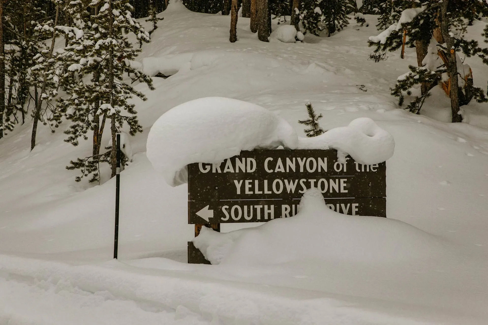 Two Top Snowmobile Rental - image canyon 2