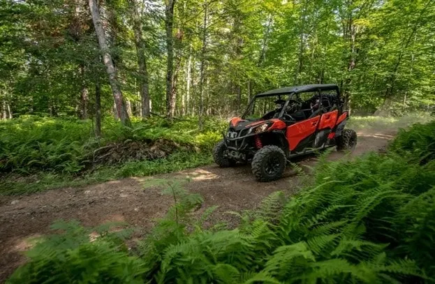 Big Bear Adventures - image 1