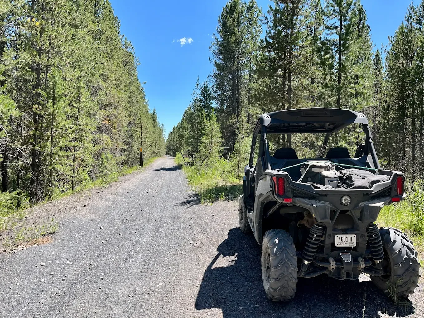 island park adventures - can am image 2