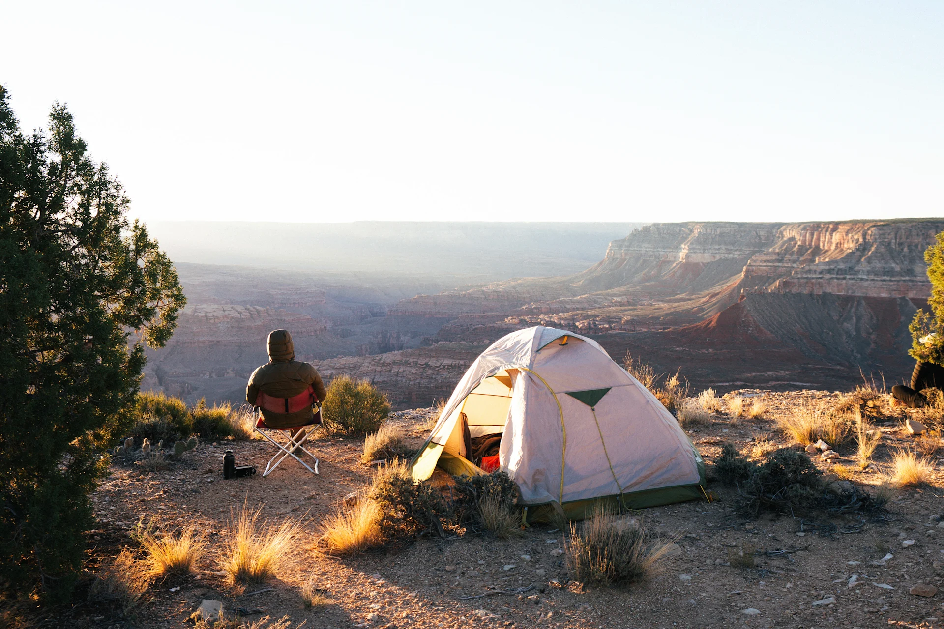 wilderness collective 