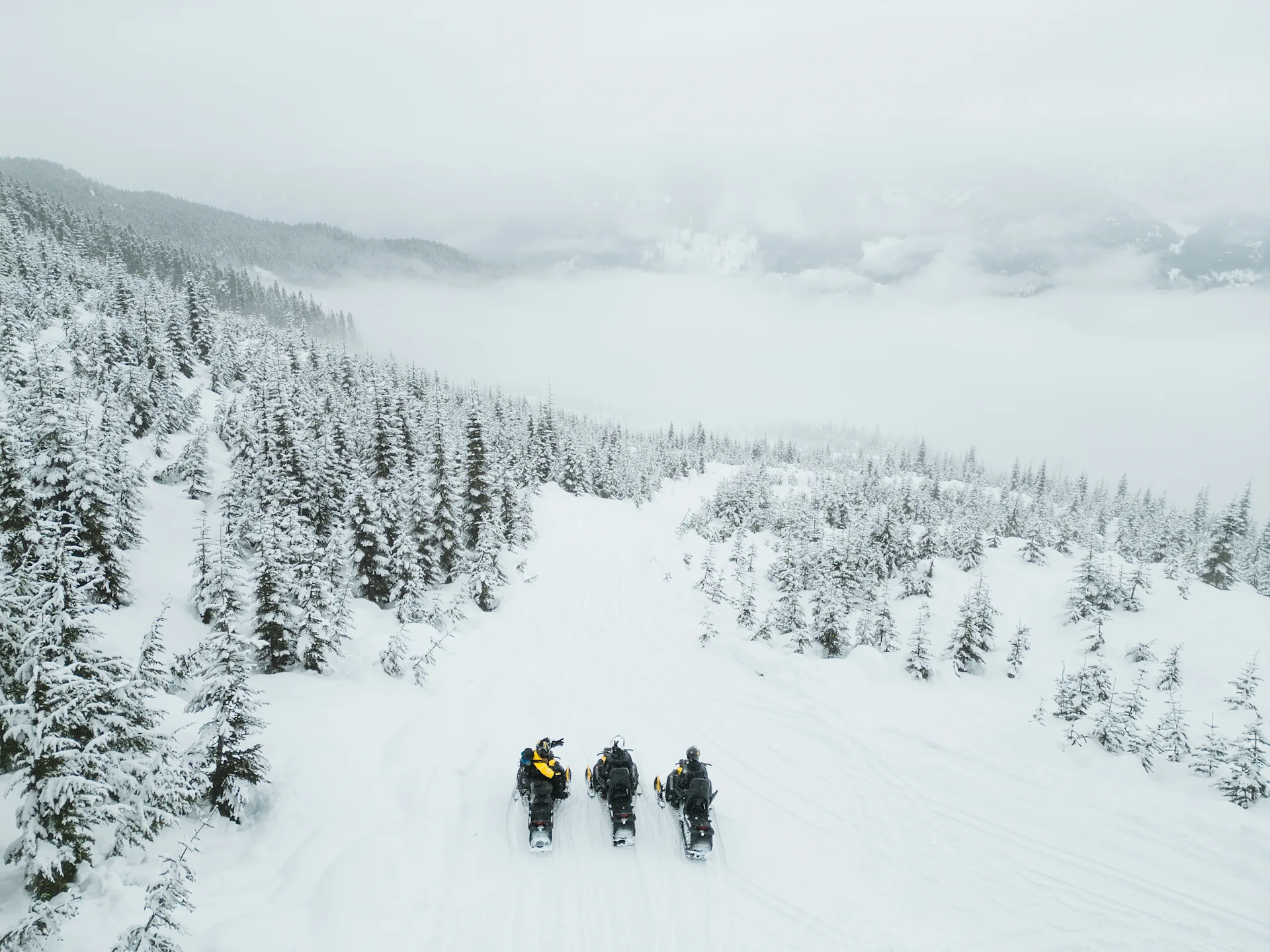 UNSO SKI DOO BC Tag Whistler 2026 MMX-2312