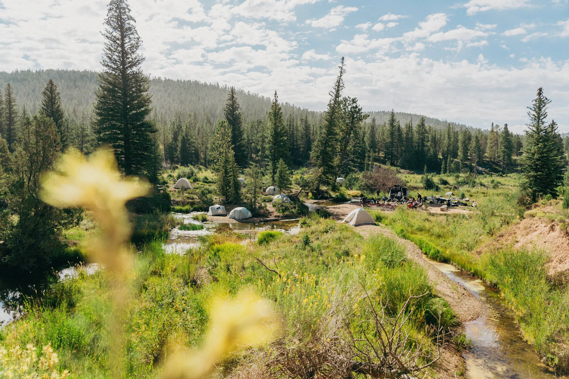 wilderness collective 