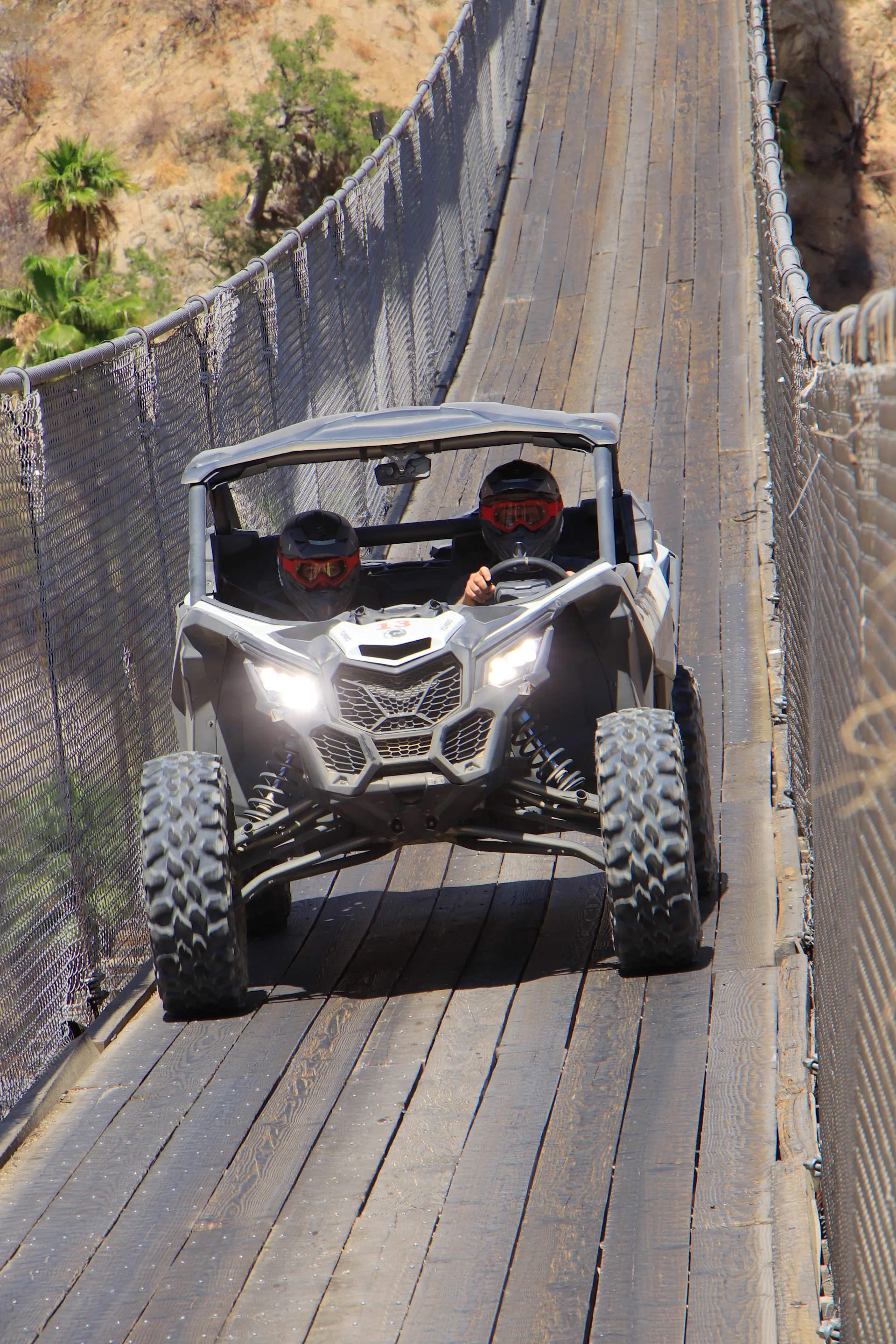 wild canyon