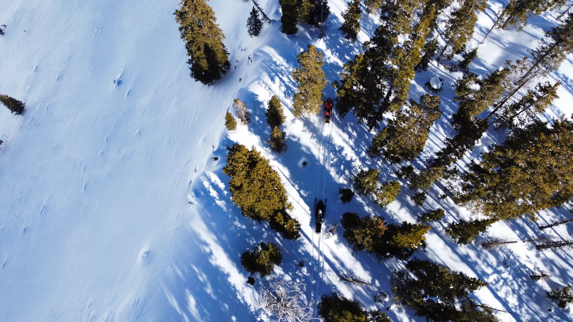 thunder mountain lodge 