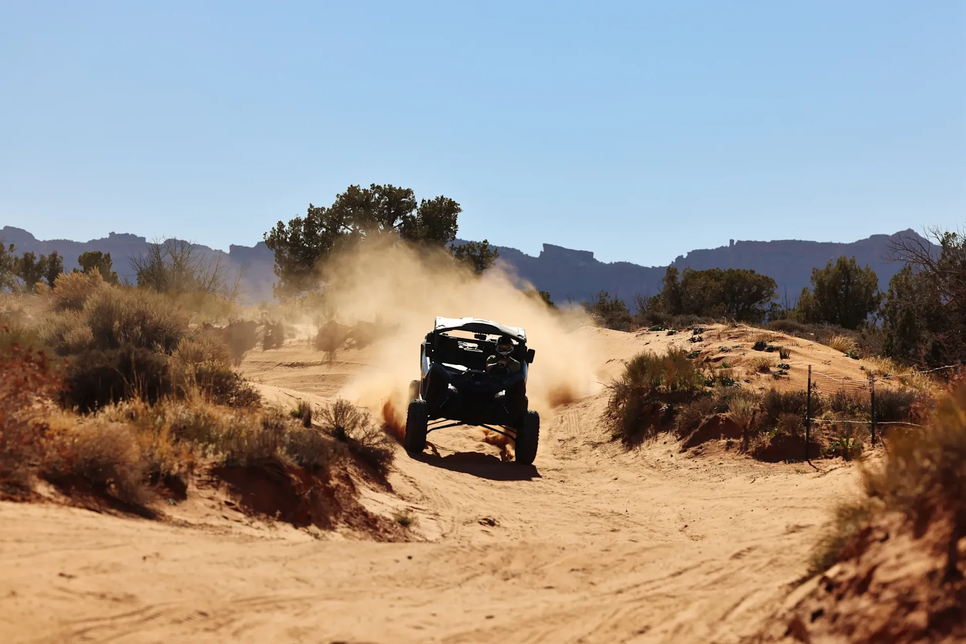 High Point Hummer - off road image 7