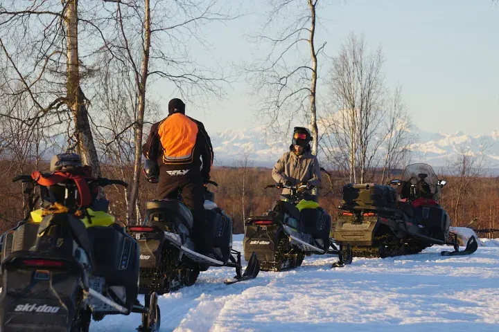 Alaska Wild Guide - image 3 Denali