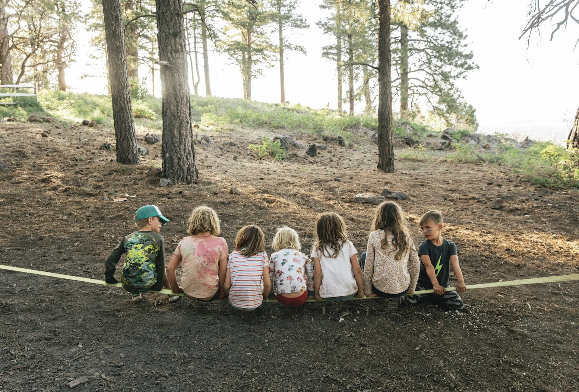 wilderness collective 